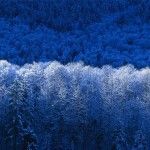 Winter Winter